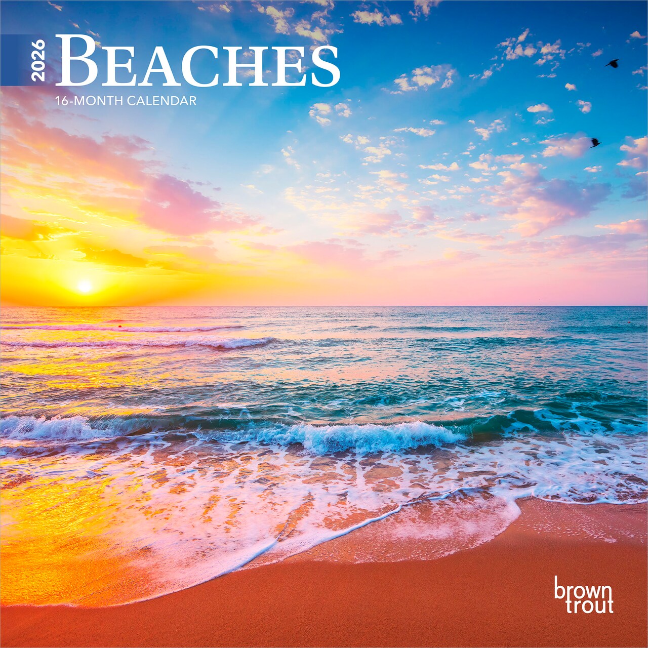 Beaches | 2026 7 x 14 Inch (Hanging) Monthly Mini Wall Calendar